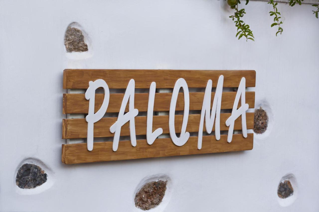 Paloma Luxury Studios Panormos  Екстериор снимка